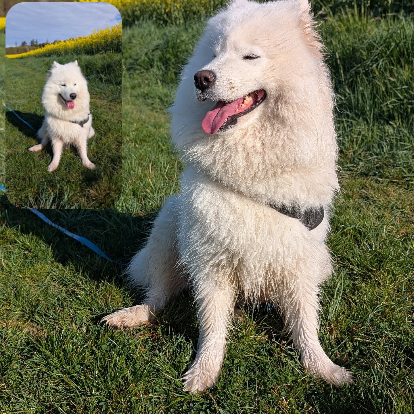 Osterspaziergang mit Lucie