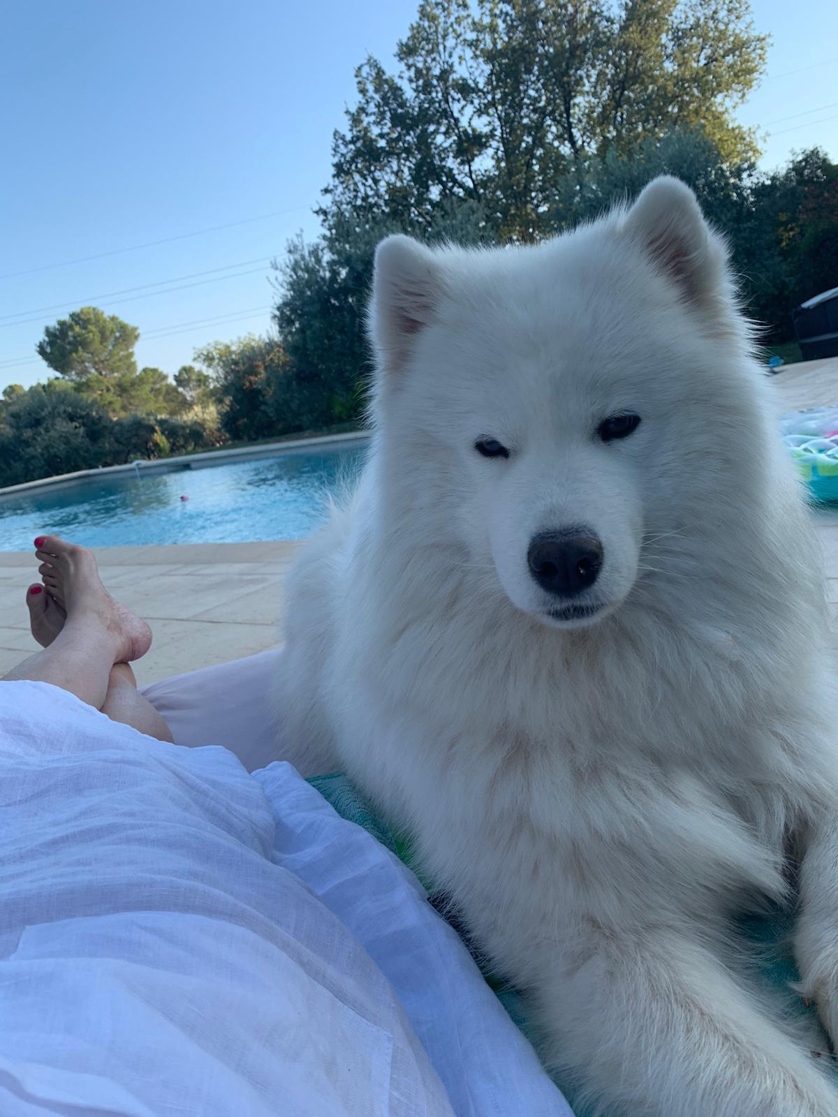 Lucie entspannt am Pool
